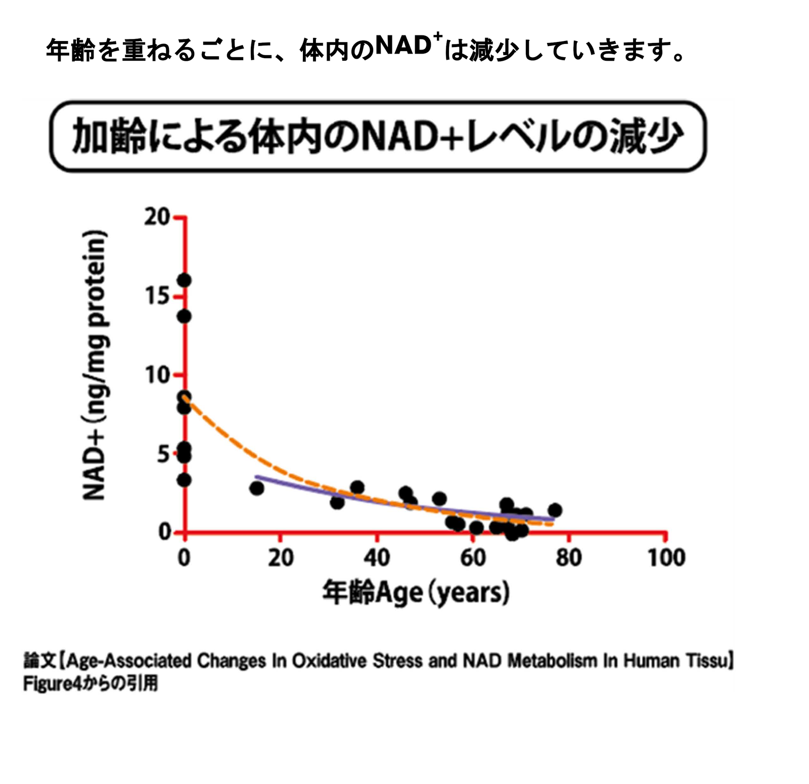 Nmn600mg1