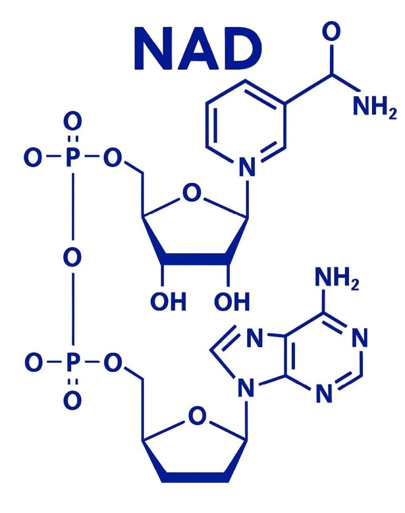 nad 7