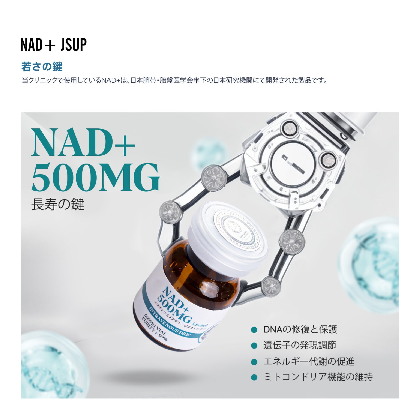 nad jsup